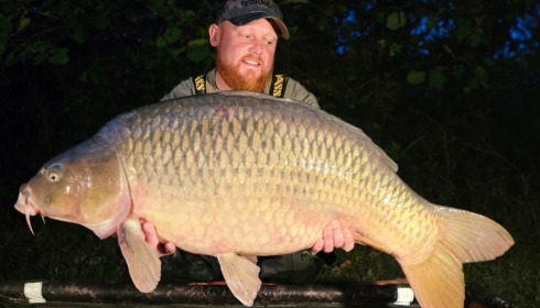A fish from Villefond, Jul 2025