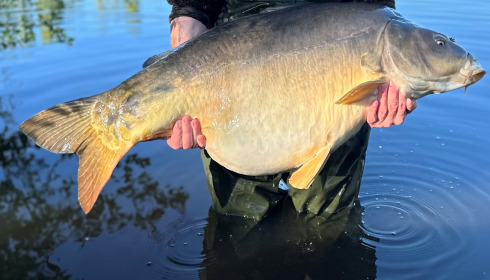 A carp from Villefond, Apr 2024
