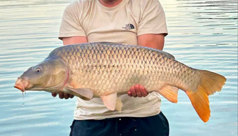 A carp from Vincons, Jul 2025