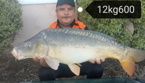 A 27 lb 12 oz carp from Vincons, Apr 2025