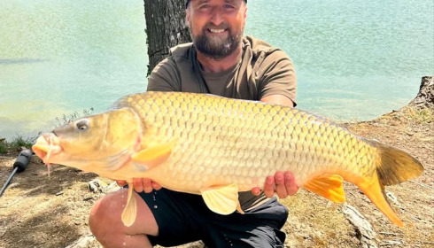 A carp from Vincons, Jul 2025