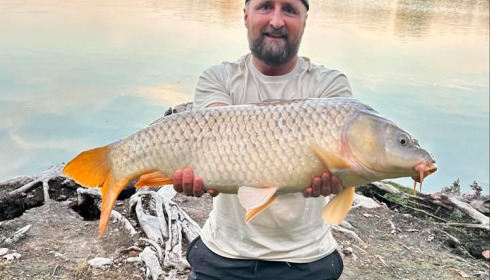 A carp from Vincons, Jul 2025