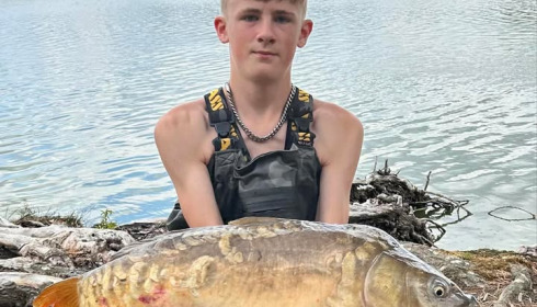 A carp from Vincons, Jul 2025