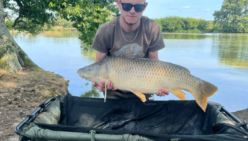 A fish from Vincons, Jul 2024