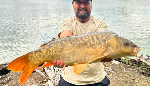 A carp from Vincons, Jul 2025