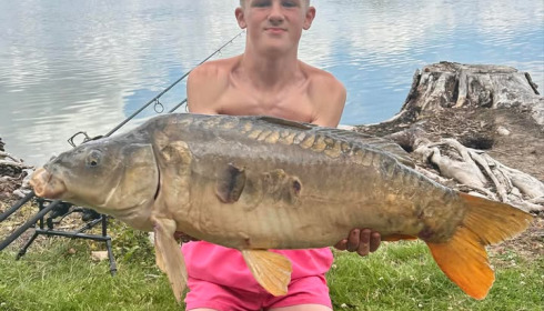 A carp from Vincons, Jul 2025