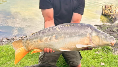 A carp from Vincons, Jul 2025