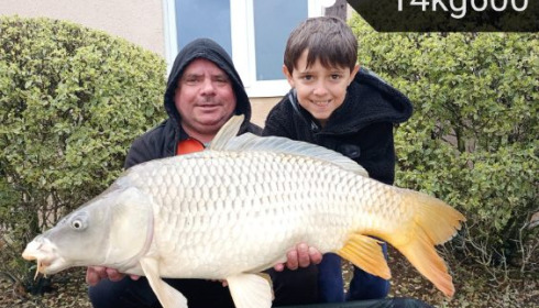 A 32 lb carp from Vincons, Apr 2025