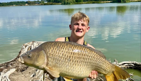 A carp from Vincons, Jul 2025