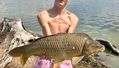 A carp from Vincons, Jul 2025