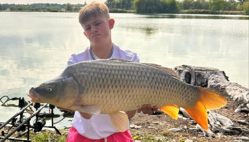 A carp from Vincons, Jul 2025