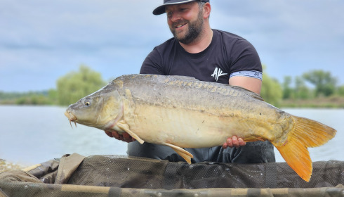 A fish from Vincons, Jun 2024