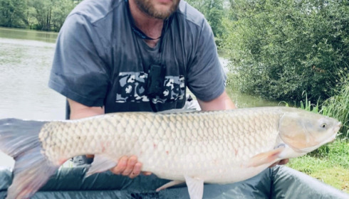 A carp from Autels, Jun 2022