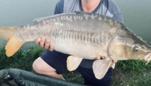 A carp from Autels, Jun 2022
