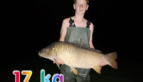 A carp from Autels, Sep 2022