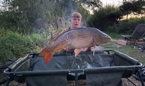 A carp from Autels, paul smith, Sep 2021