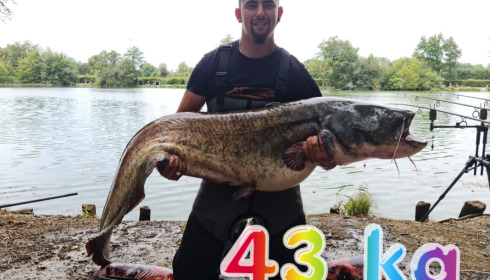 A catfish from Autels, Sep 2022