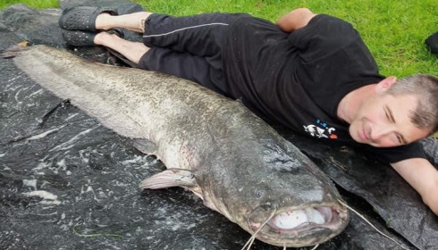 A carp from Autels, Aug 2021