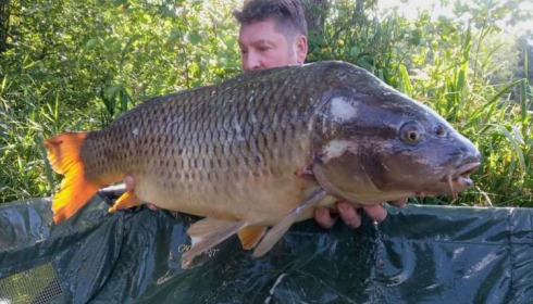A carp from Autels, Aug 2021