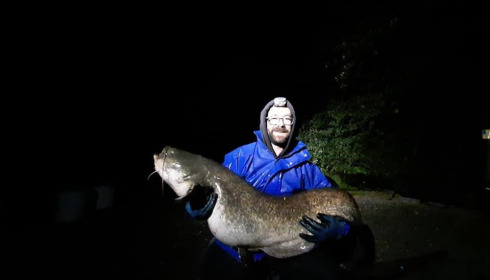 A catfish from Autels, panais anthony, May 2021