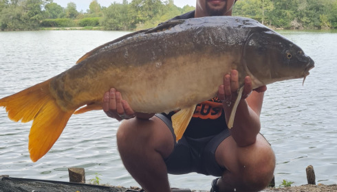 A carp from Autels, Sep 2022