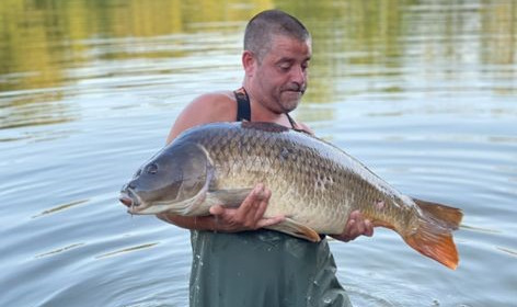 A carp from Autels, paul smith, Sep 2021