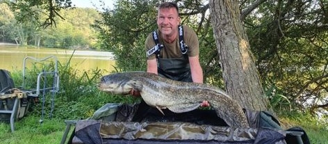 A catfish from Autels, paul smith, Sep 2021