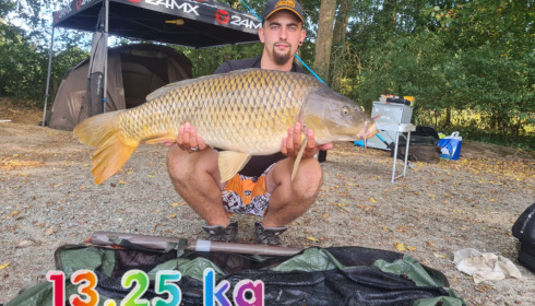 A carp from Autels, Sep 2022