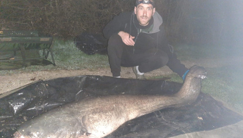 A catfish from Autels, panais anthony, Apr 2021