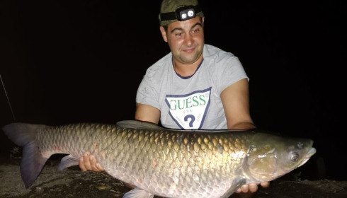 A grass carp from Autels, Sep 2022