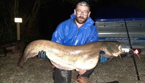 A catfish from Autels, panais anthony, May 2021