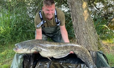 A catfish from Autels, paul smith, Sep 2021