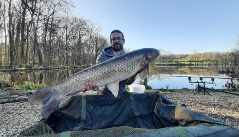 A grass carp from Autels, panais anthony, Apr 2021