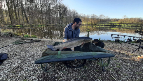 A grass carp from Autels, panais anthony, Apr 2021