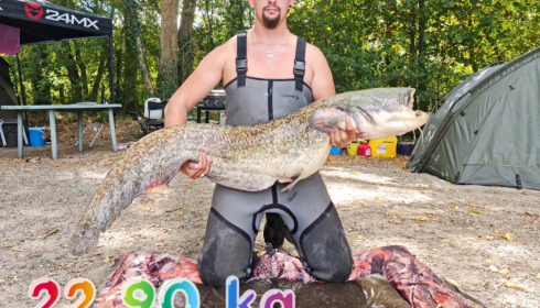 A carp from Autels, Sep 2022