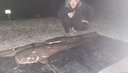 A catfish from Autels, panais anthony, Apr 2021