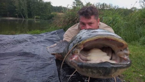 A carp from Autels, Aug 2021