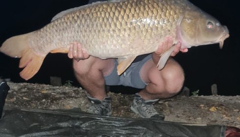A carp from Autels, Sep 2022
