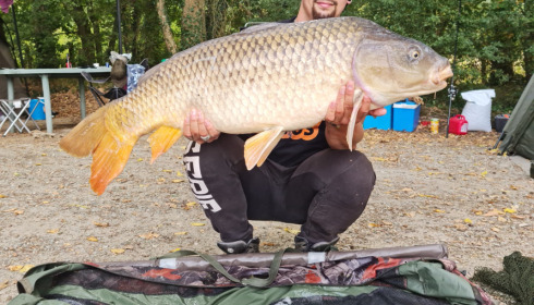 A carp from Autels, Sep 2022
