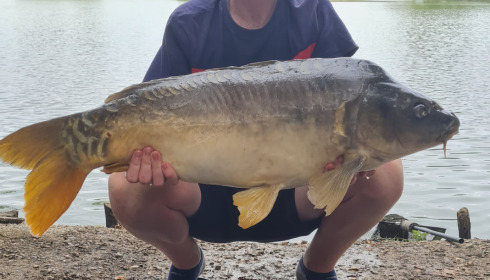 A carp from Autels, Sep 2022