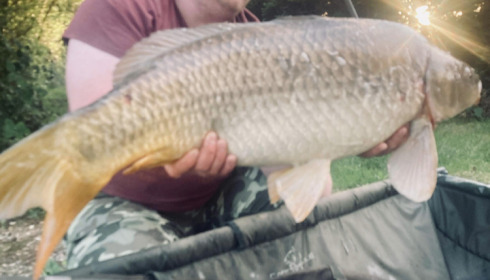 A carp from Autels, Jun 2022