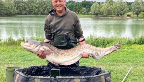 A catfish from Beaurepaire, Jun 2022
