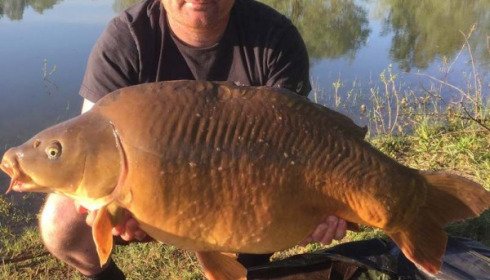 A carp from Beaurepaire, Matt Hodgson's Party, May 2015