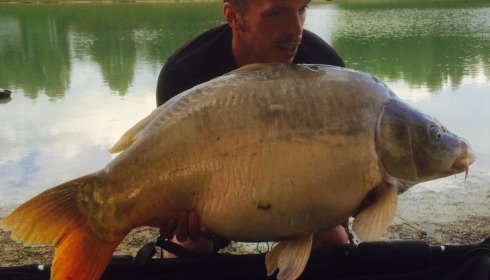 A carp from Beaurepaire, Gary Hayter, Sep 2014