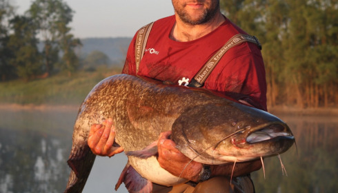 A carp from Beaurepaire, Jun 2022