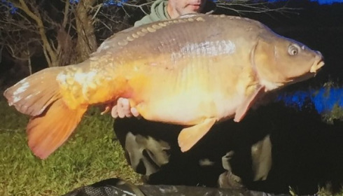 A carp from Beaurepaire, Jul 2019