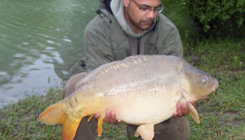 A carp from Beaurepaire, Carl Clarke, May 2010