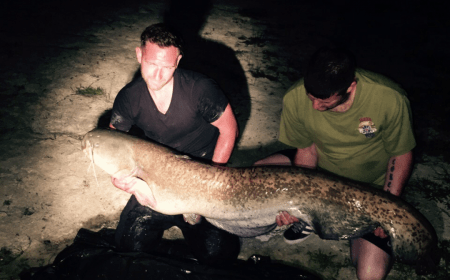A 76 lb catfish from Beaurepaire, wayne spooner, Jun 2015