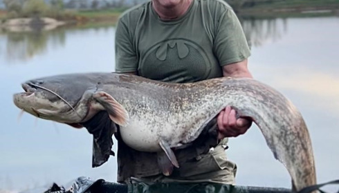 A 51 lb catfish from Beaurepaire, John Challinor, Nov 2022