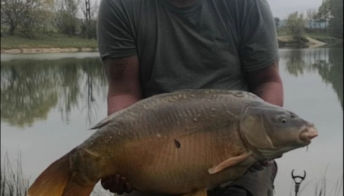 A 32 lb 4 oz carp from Beaurepaire, Ryan Welch, Oct 2019